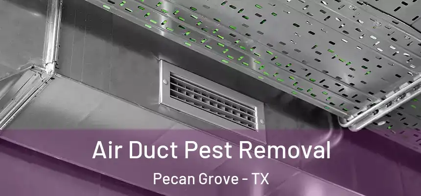 Air Duct Pest Removal Pecan Grove - TX