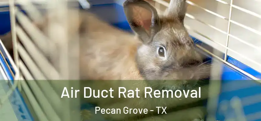  Air Duct Rat Removal Pecan Grove - TX