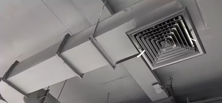 Restorative Allergy Relief Vent Cleaning – Coil, Blower & Housing Detail in Pecan Grove