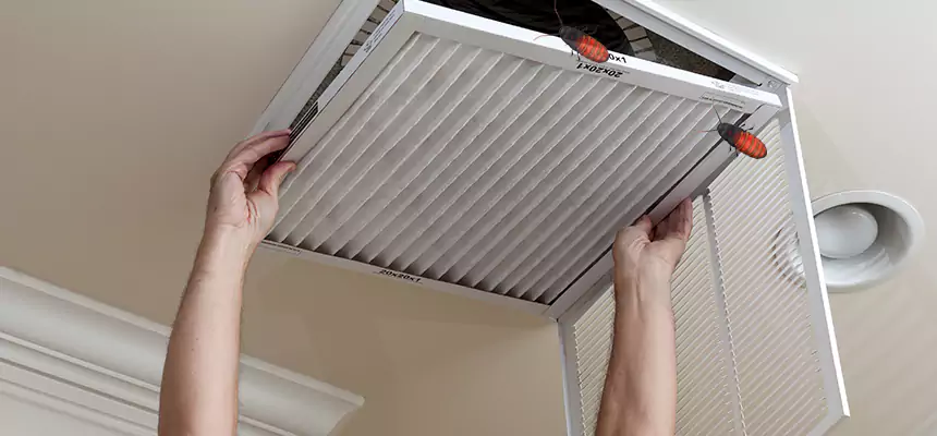 Our Insect Removal from Air Ducts Services in Pecan Grove, TX