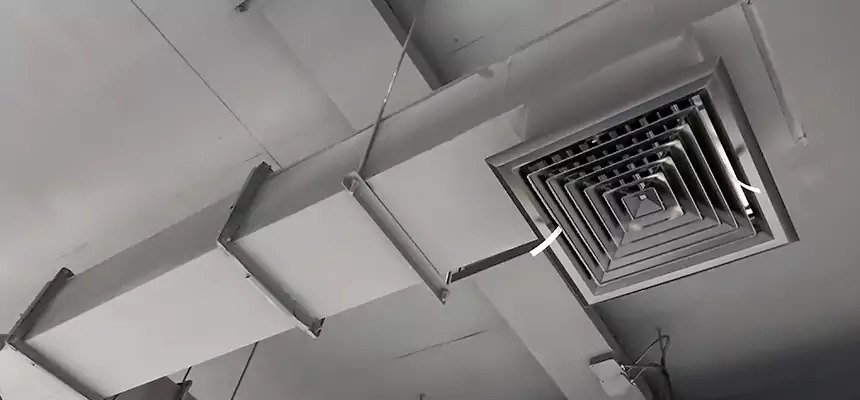 Our Rodent Droppings In Vents Services in Pecan Grove, TX