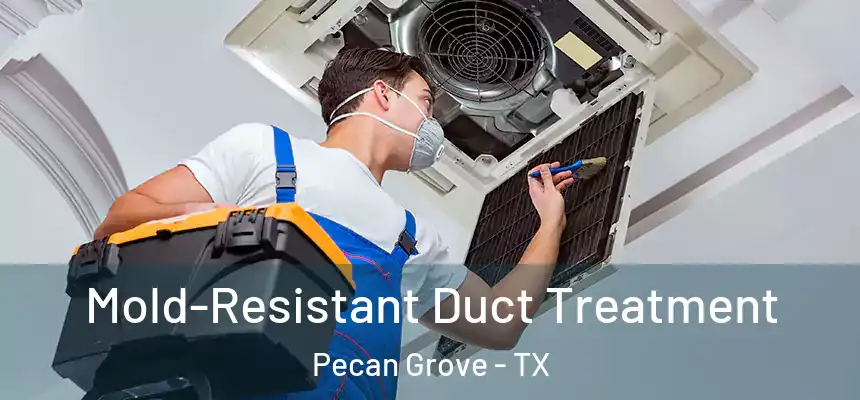 Mold-Resistant Duct Treatment Pecan Grove - TX