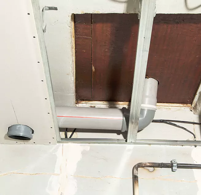 Why Homeowners & Businesses Trust Us in Pecan Grove, TX?