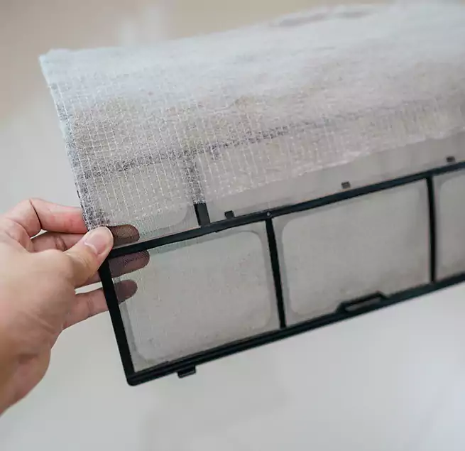 Why Homeowners & Businesses Trust Us in Pecan Grove, TX?