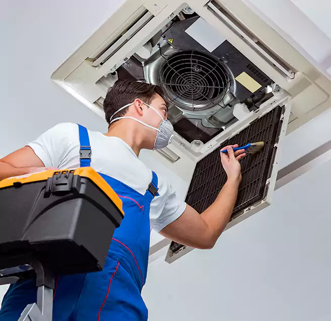 Why Homeowners & Businesses Trust Us in Pecan Grove, TX?